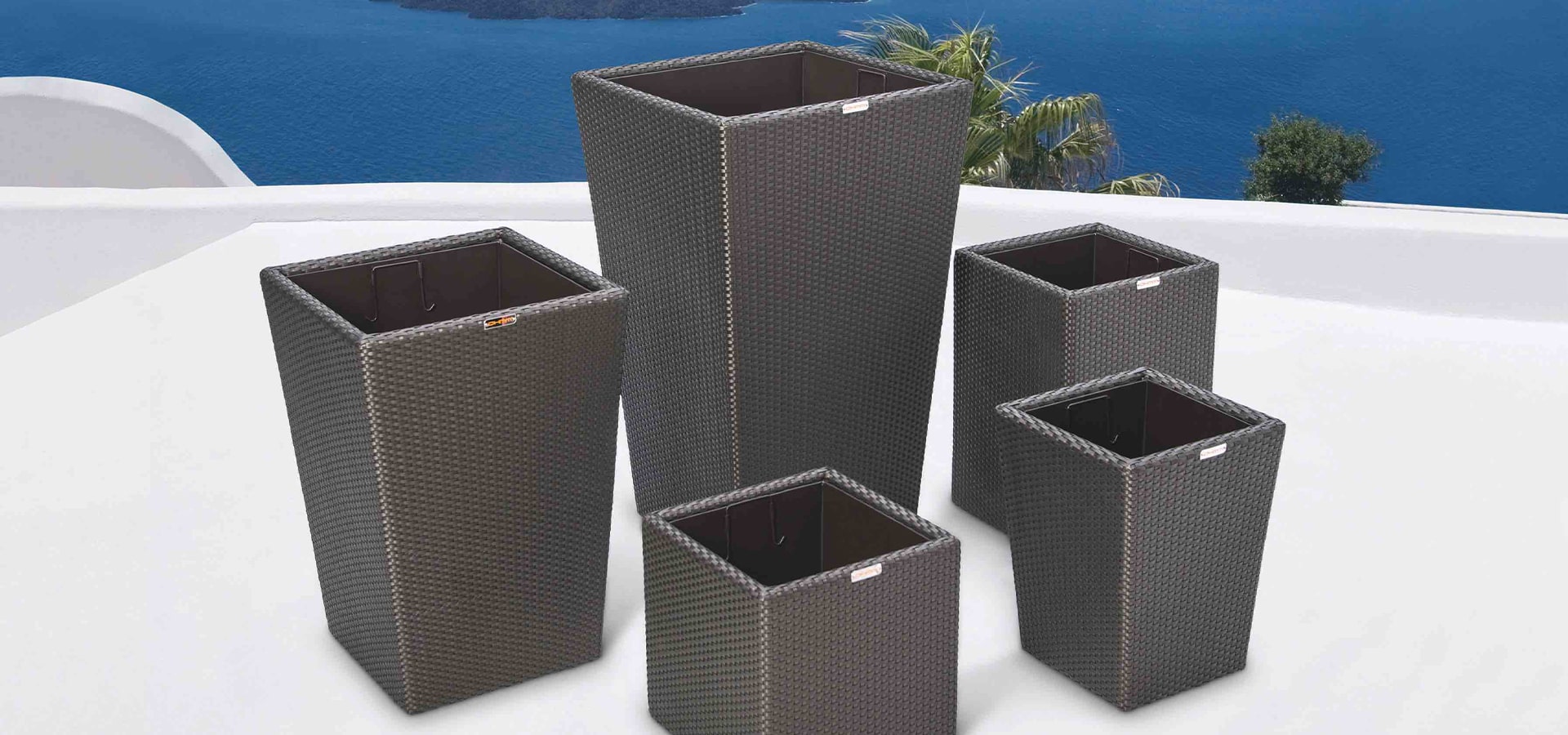 COLLECTION @ Planters