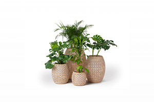 ohmm-habitat-collection-outdoor-planters